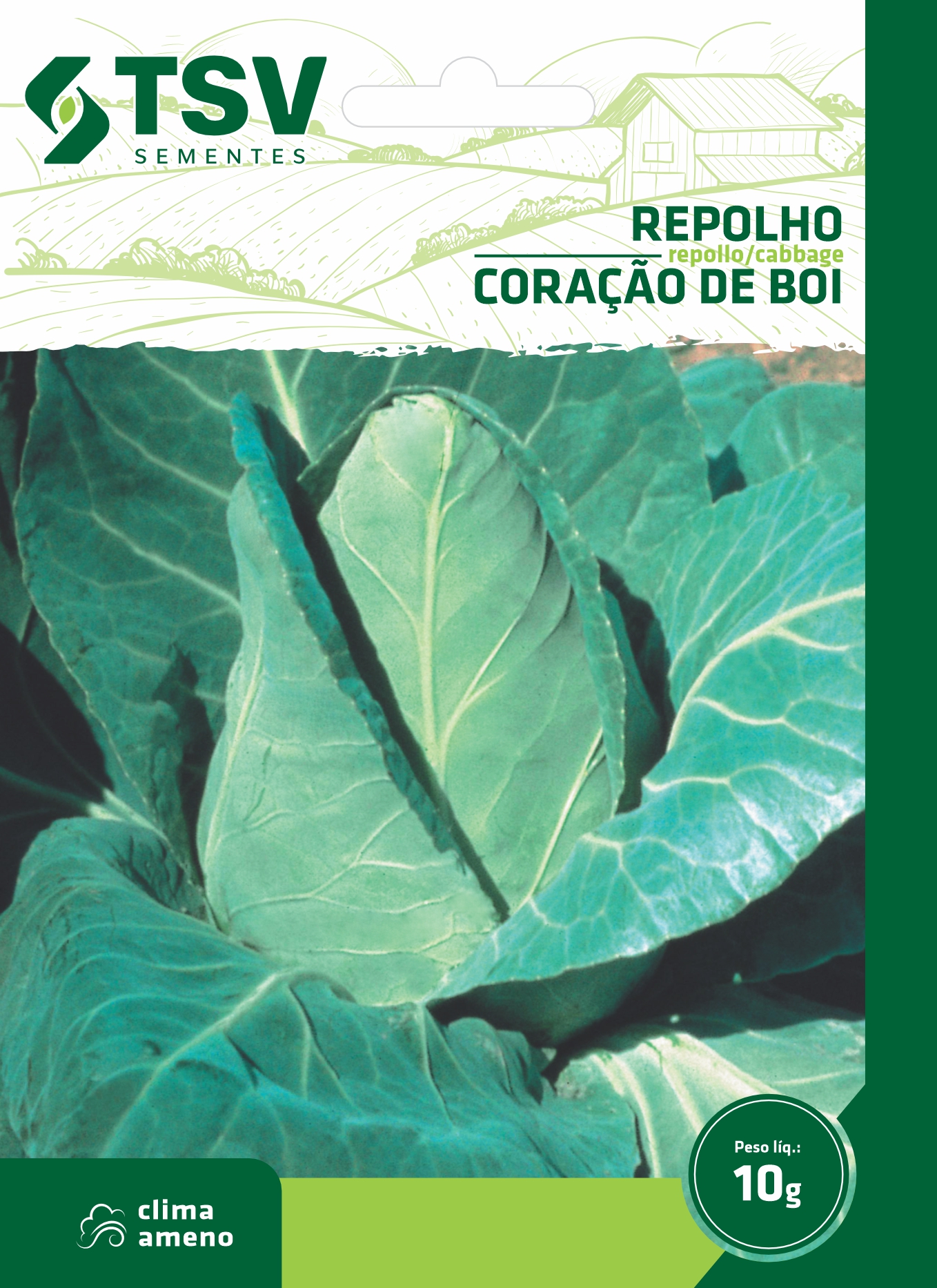 Receitas Deliciosas com Repolho Coração de Boi Fresco