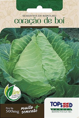 Como Identificar e Tratar Pragas Comuns no Repolho Coração de Boi