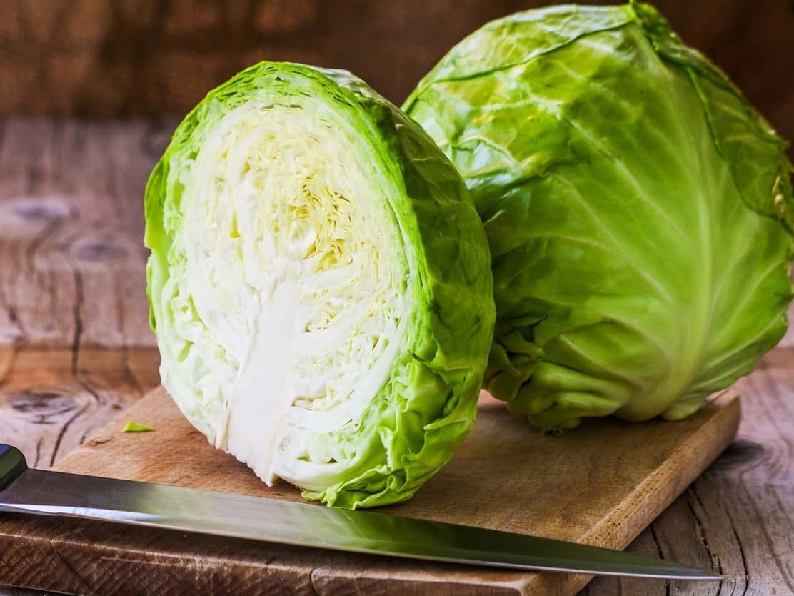 Guia Completo de Adubação para um Repolho Vigoroso