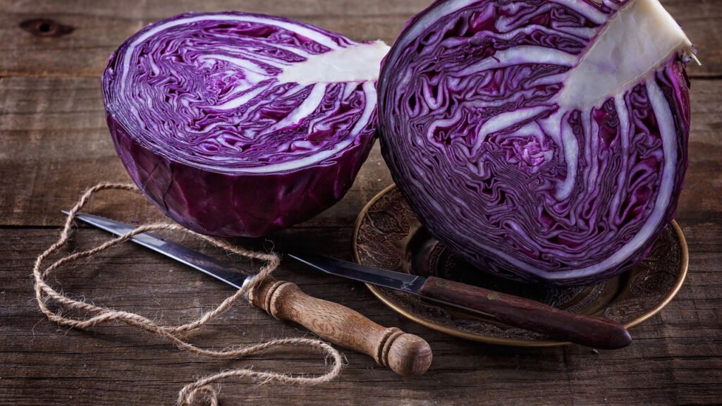 Receitas Deliciosas com Repolho Roxo Fresco da Horta