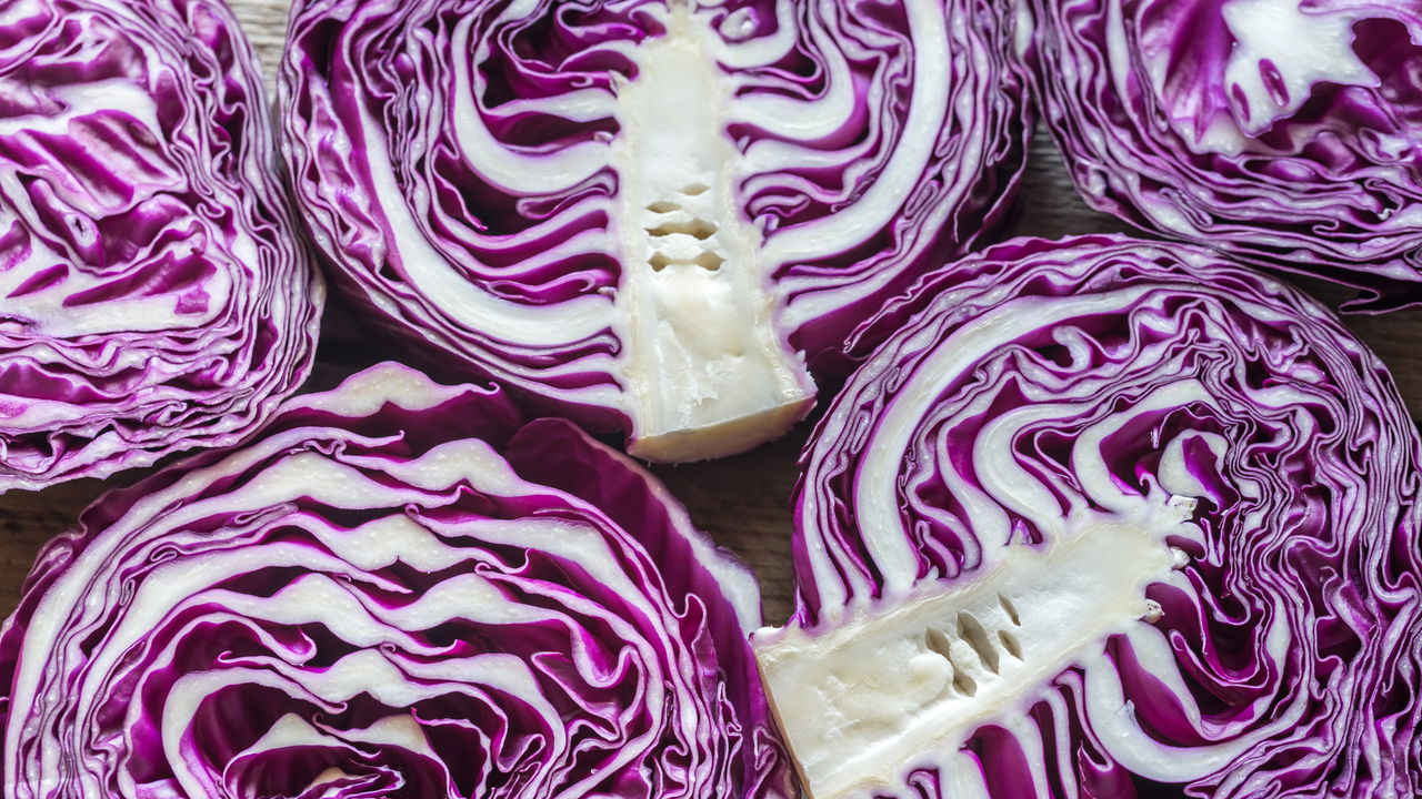 Guia Completo: Preparo do Solo para o Plantio de Repolho Roxo