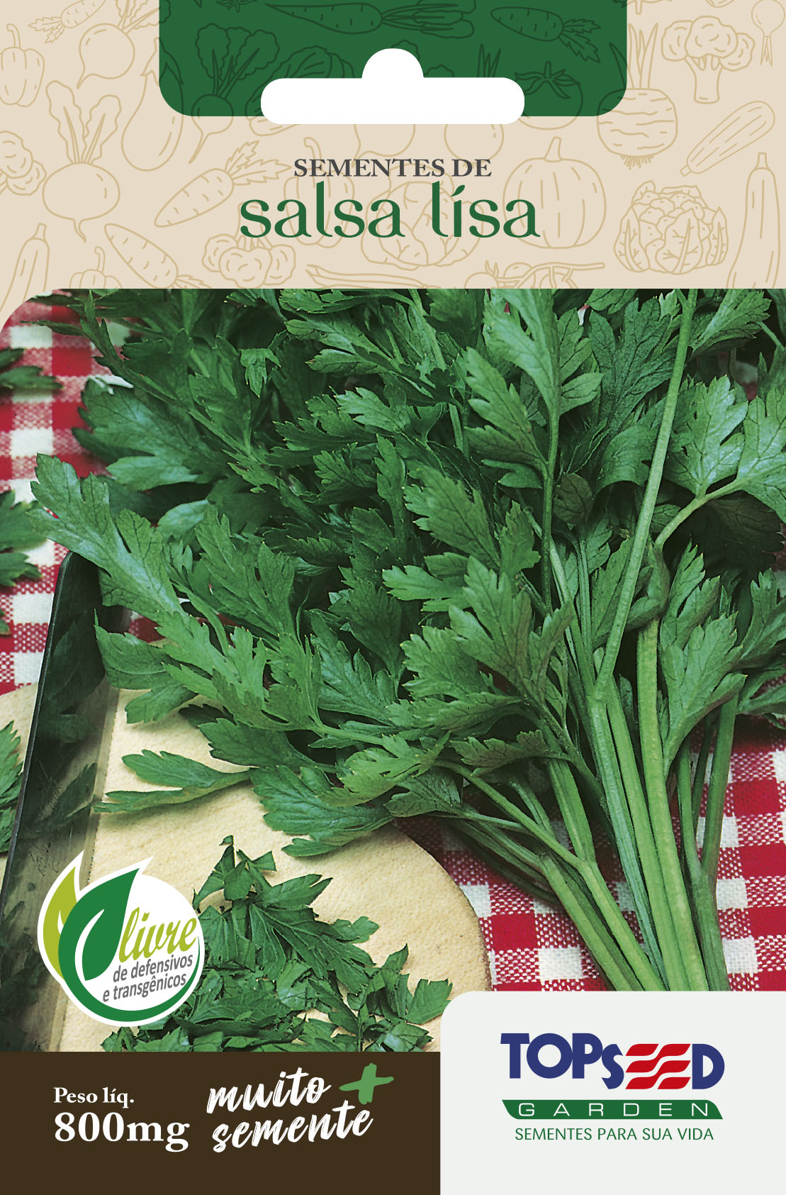 Guia Completo: Como Montar uma Horta de Temperos em Casa