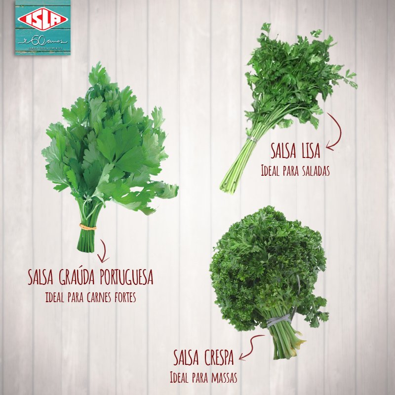 Adubação Orgânica para Salsa: O Segredo para Folhas Verdes e Saudáveis