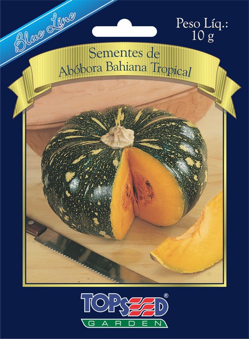 Melhores tipos de abóbora para plantar em casa