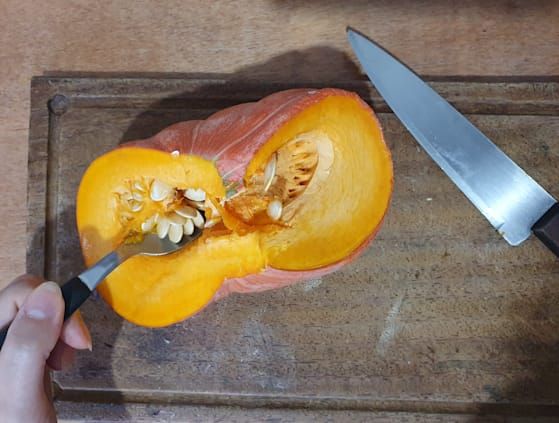 Como fazer adubo orgânico para abóbora