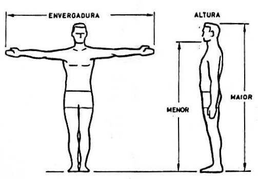 A Importância do Equipamento de Segurança no Arco e Flecha