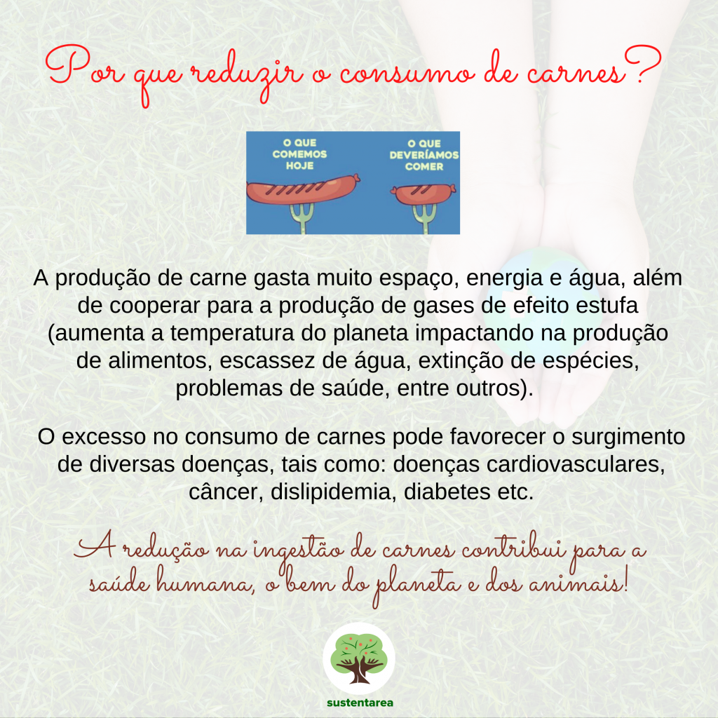 Receitas Vegetarianas Rápidas para o Dia a Dia