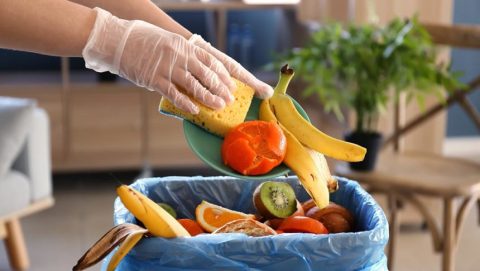 Como fazer compostagem doméstica passo a passo