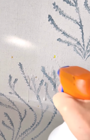 Como remover mofo de paredes pintadas