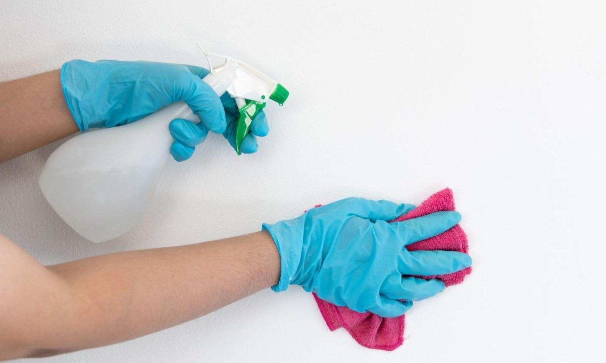 Guia completo de pintura de paredes internas