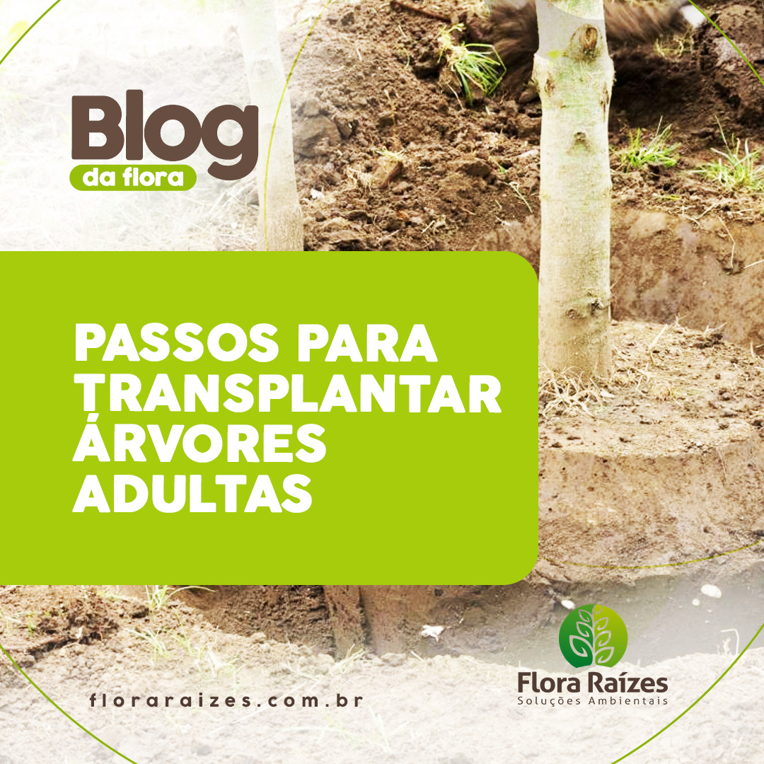 Guia completo de adubação orgânica