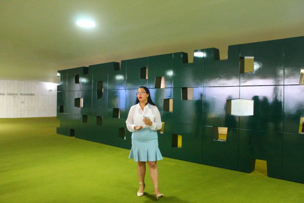 congresso nacional visita agendamento