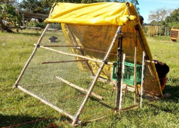 construir galinheiro móvel