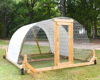 Guia completo de dimensões e espaçamento para galinhas