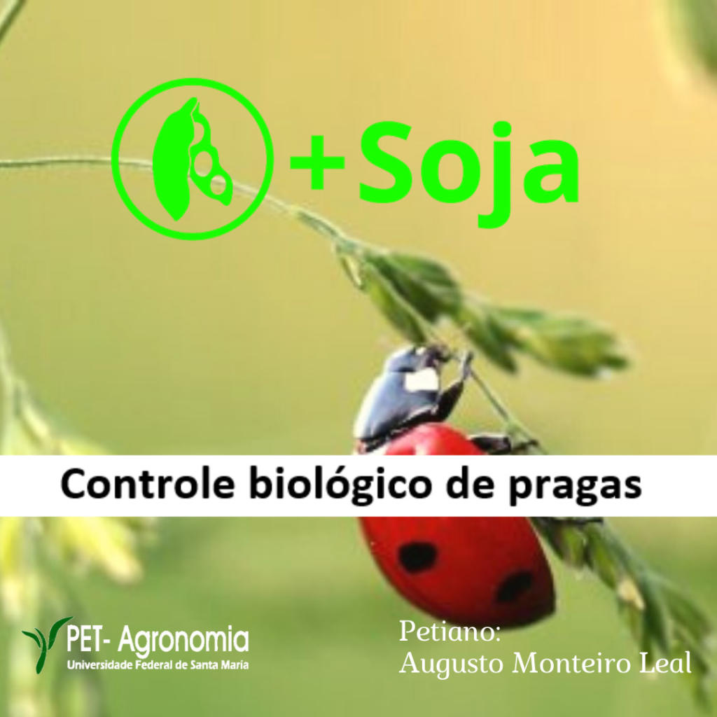 Desafios na Implementação do Controle Biológico