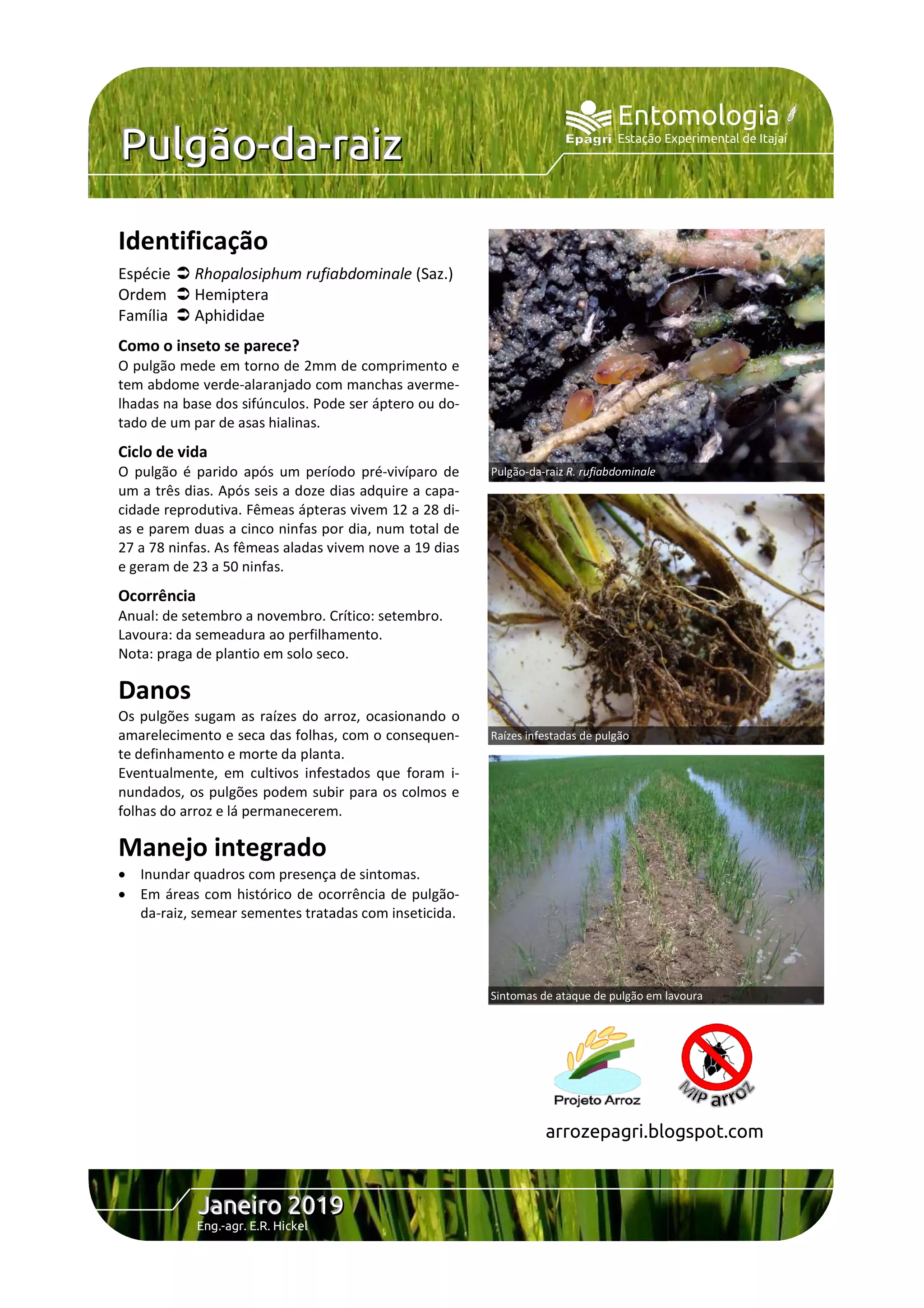 Guia Completo de Prevenção de Pragas em Plantas