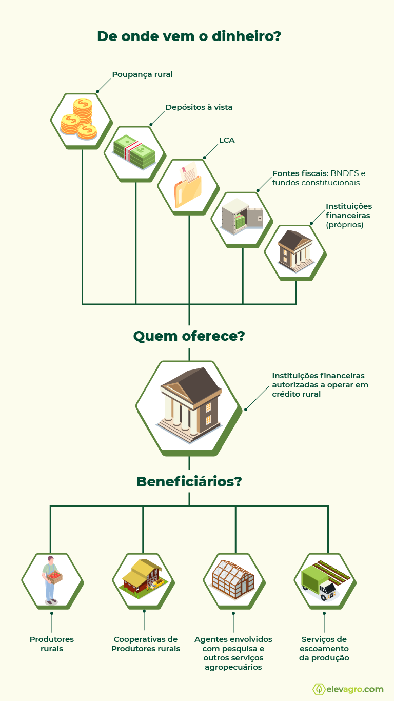 Guia Completo do PRONAF: Como Acessar o Financiamento para Pequenos Produtores
