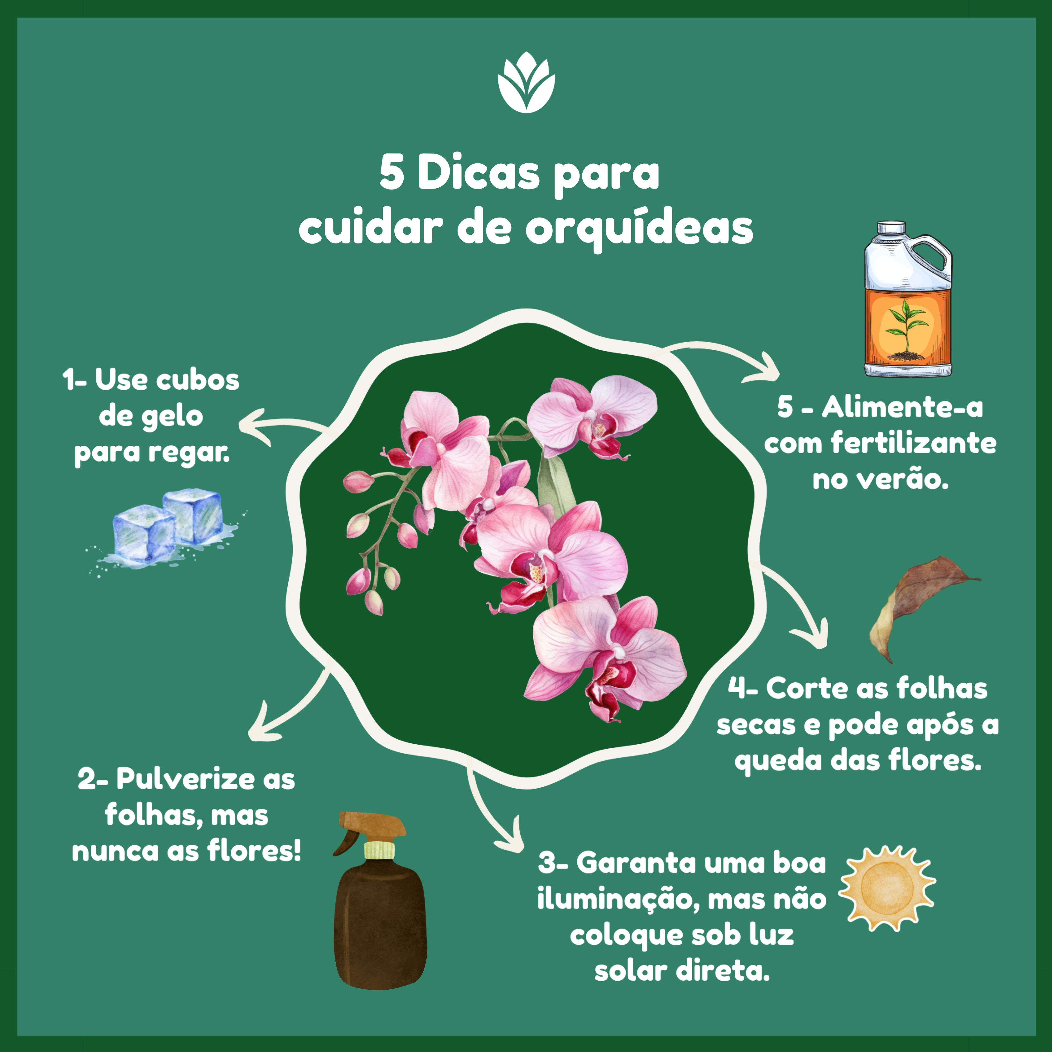 Guia completo para identificar e tratar pragas em orquídeas