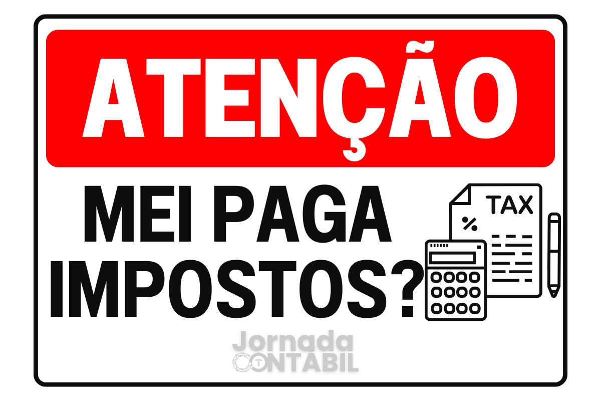 MEI: Guia completo da Declaração Anual (DASN-SIMEI)