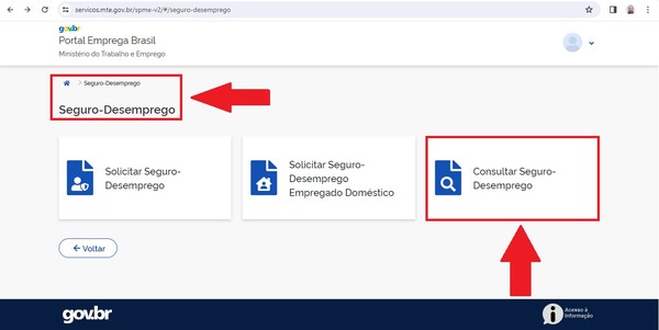 Seguro desemprego para empregado doméstico: guia completo