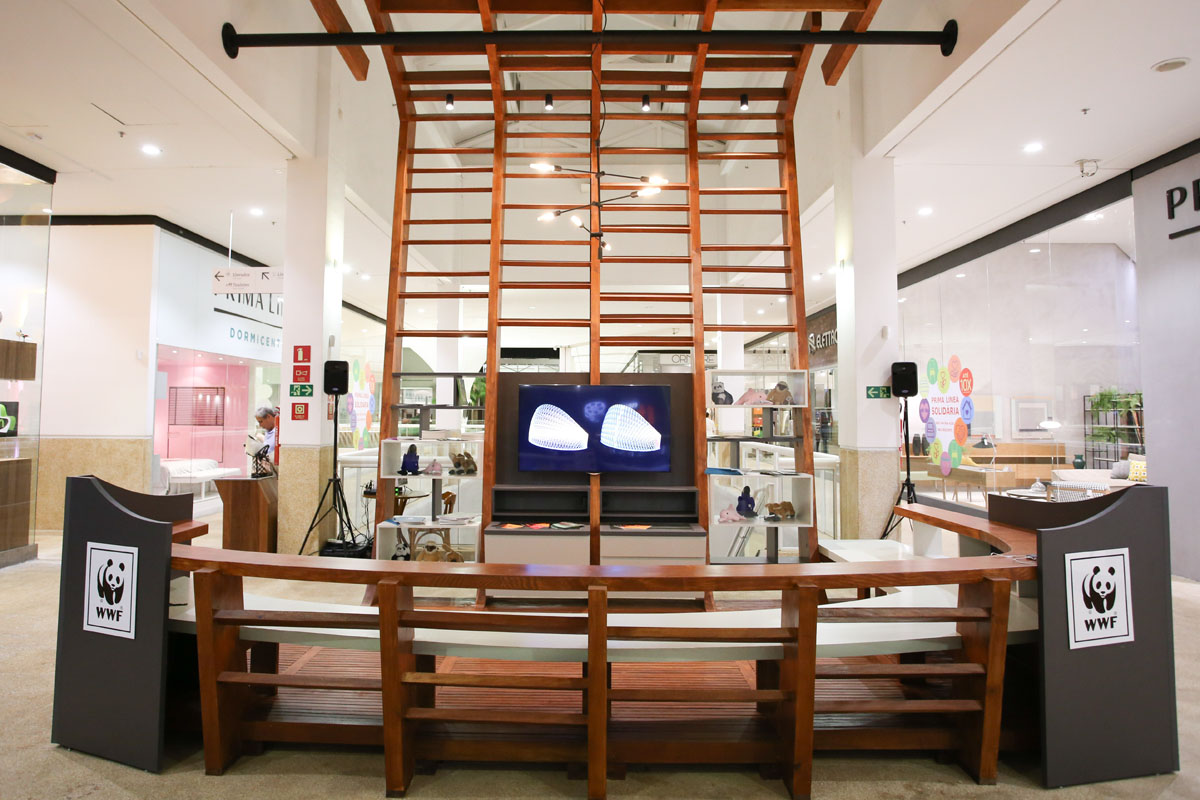 Dicas de Organização com Produtos do CasaPark