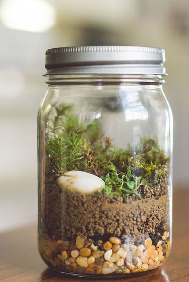 decoração potes vidro reutilizados