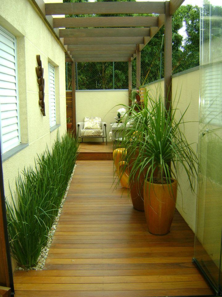 10 Frutíferas Ideais para Varandas Pequenas