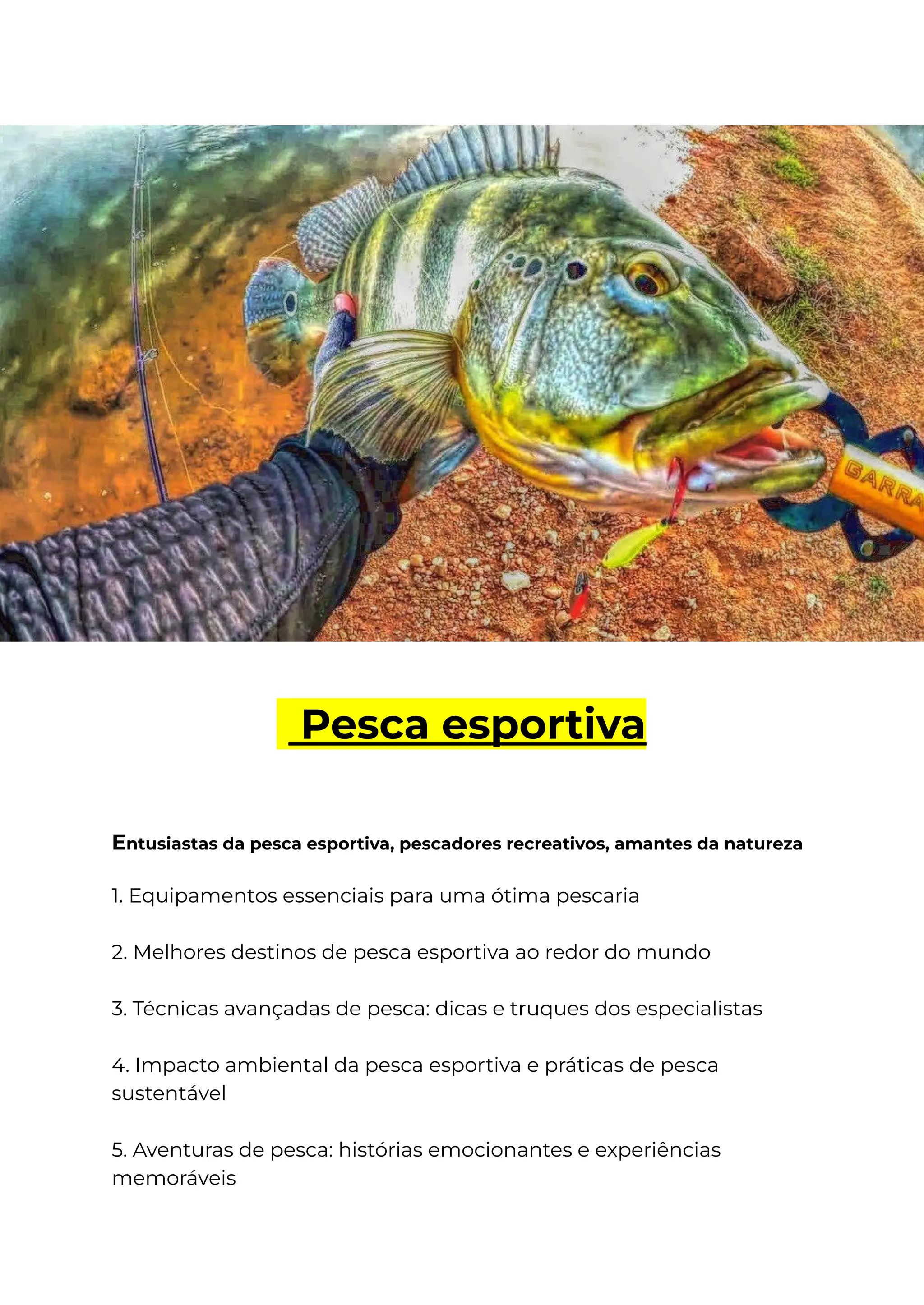 Guia Completo de Equipamentos para Pesca Esportiva