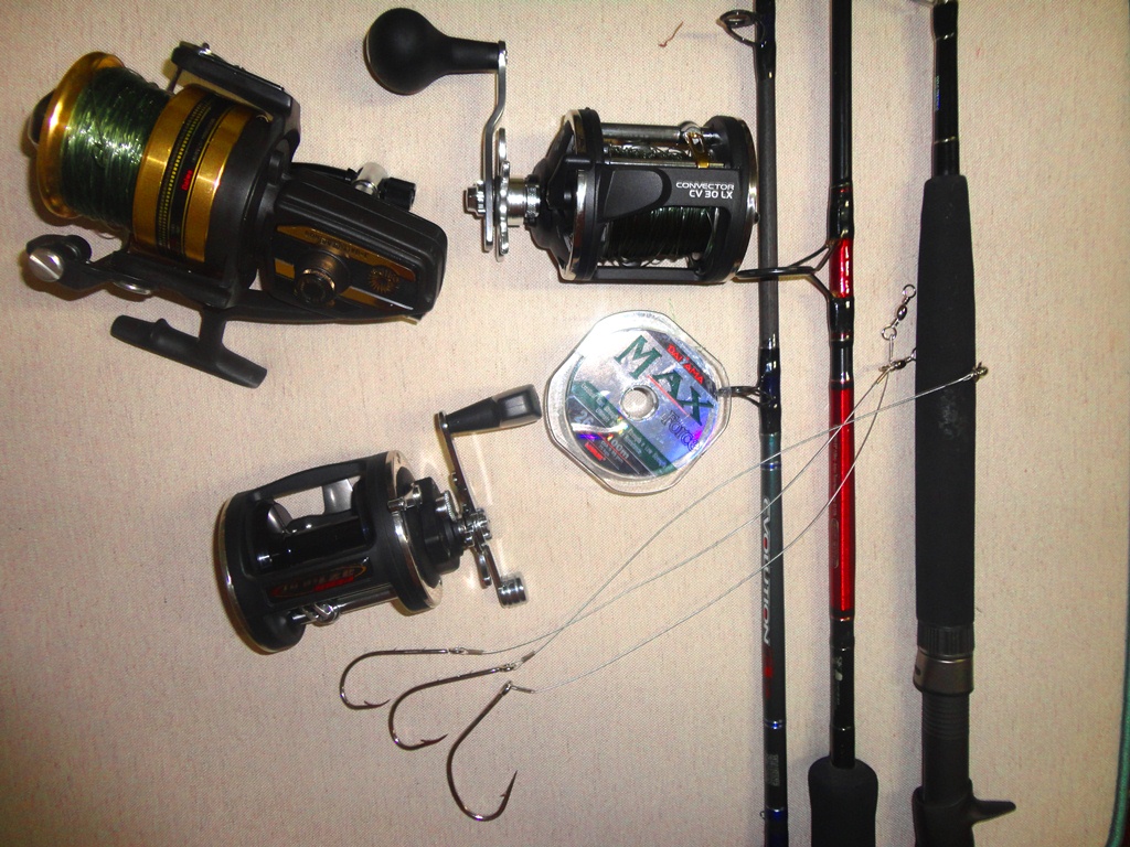 As Melhores Iscas Naturais e Artificiais para Iniciantes