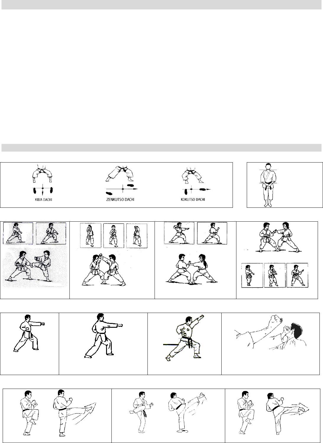 Dicas de Treino Diário para Acelerar seu Progresso no Karatê