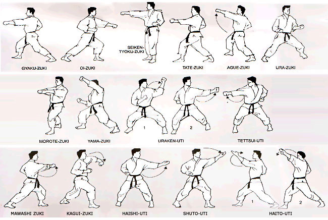 Escolhendo seu Estilo de Karatê: Shotokan