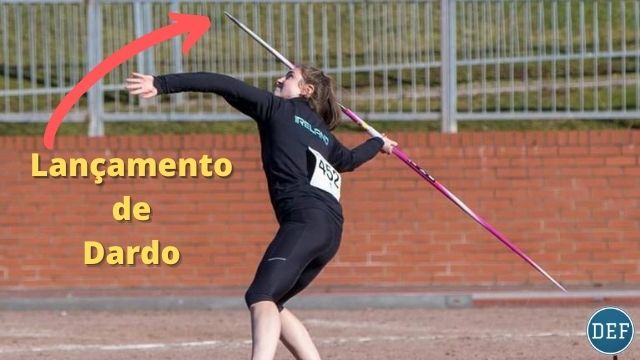 Comparativo: Dardo de Treino vs. Dardo Oficial - Qual Escolher?