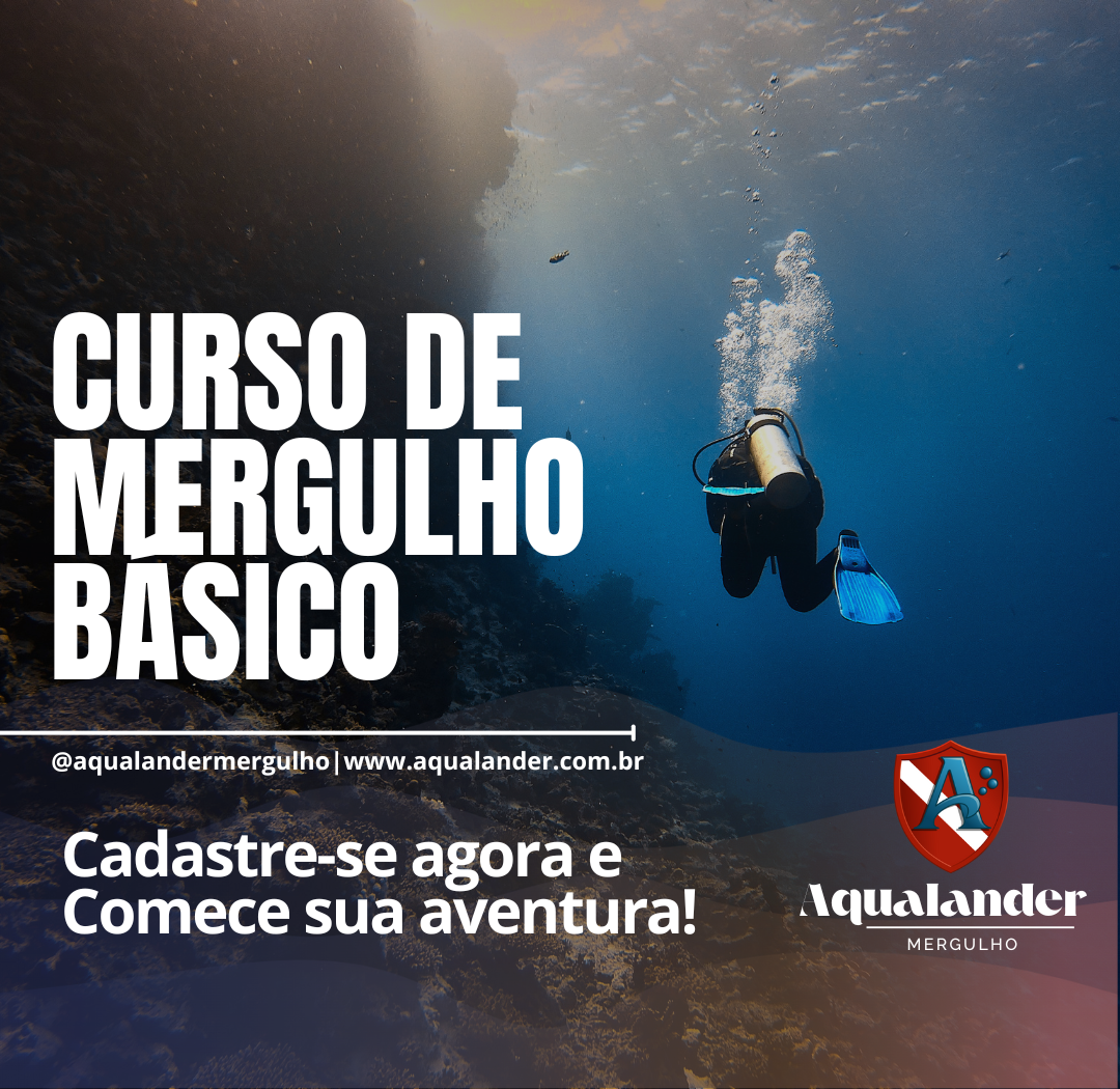 dicas para iniciantes no mergulho autônomo