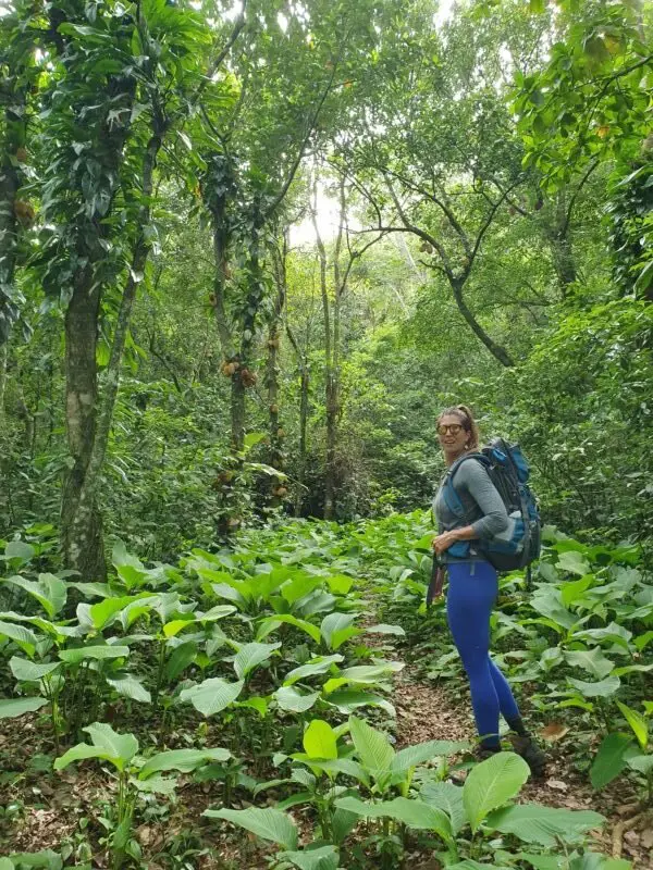 Aplicativos Essenciais para Navegação em Trilhas