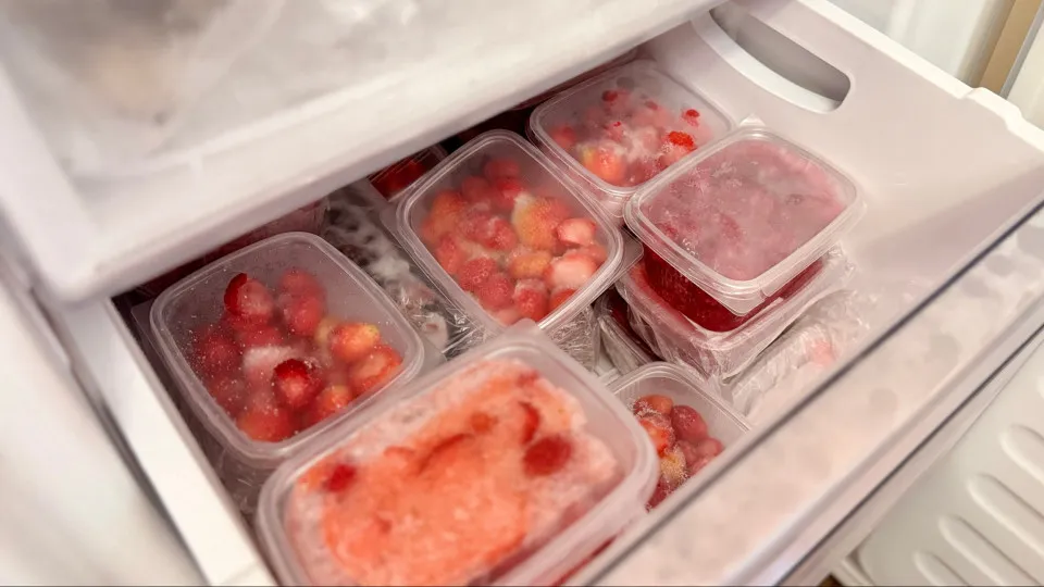 O que não congelar no freezer: Mitos e verdades