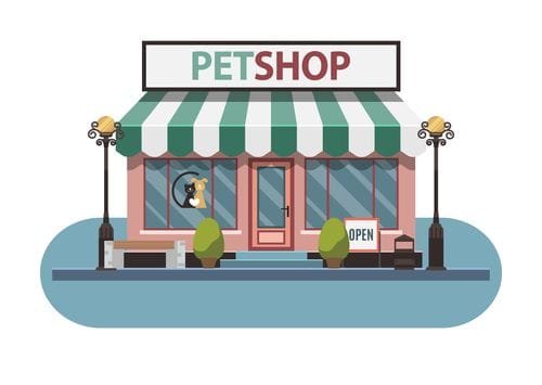 Pet Shop em Casa: Dicas para Economizar com Higiene e Cuidados