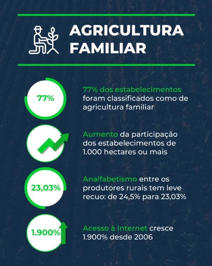Técnicas de Policultura para Aumentar a Diversidade na sua Propriedade