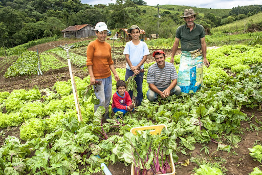 Como o PRONAF Pode Ajudar sua Agricultura Familiar