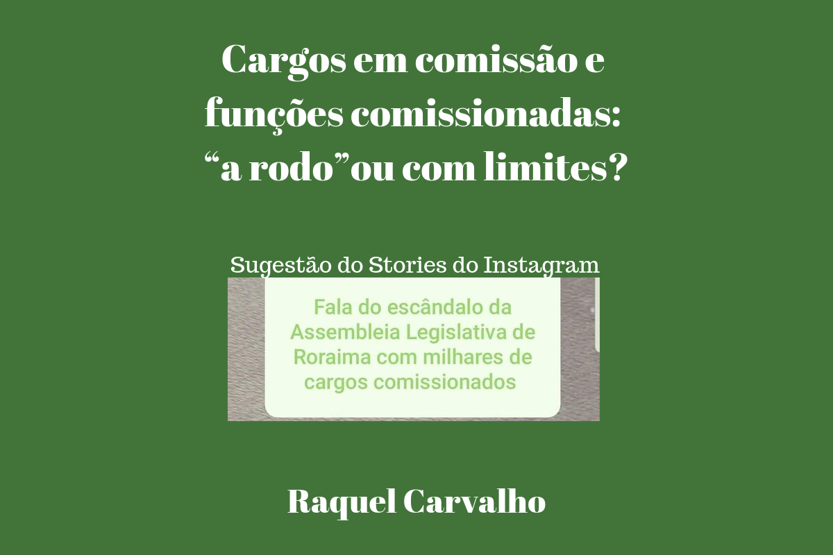 diferença entre cargo comissionado e cargo efetivo