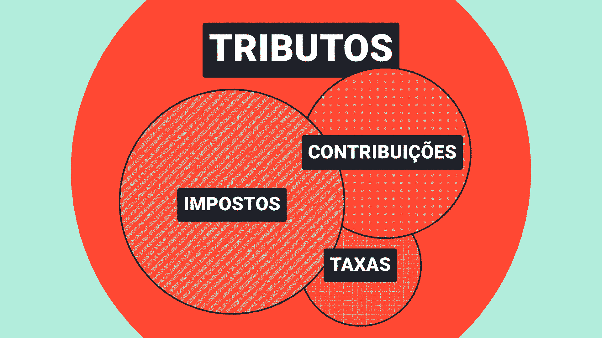 Taxas e Impostos: Desvendando os Tributos