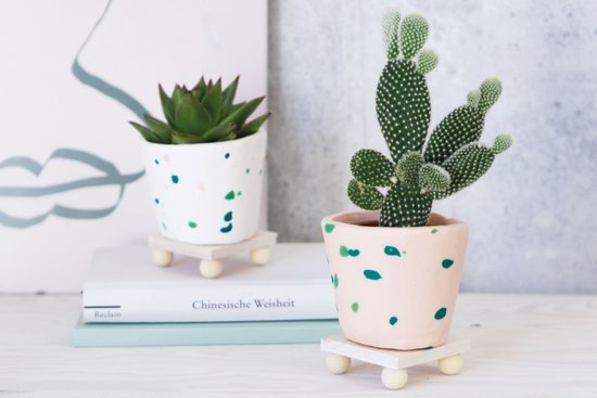 5 ideias de títulos