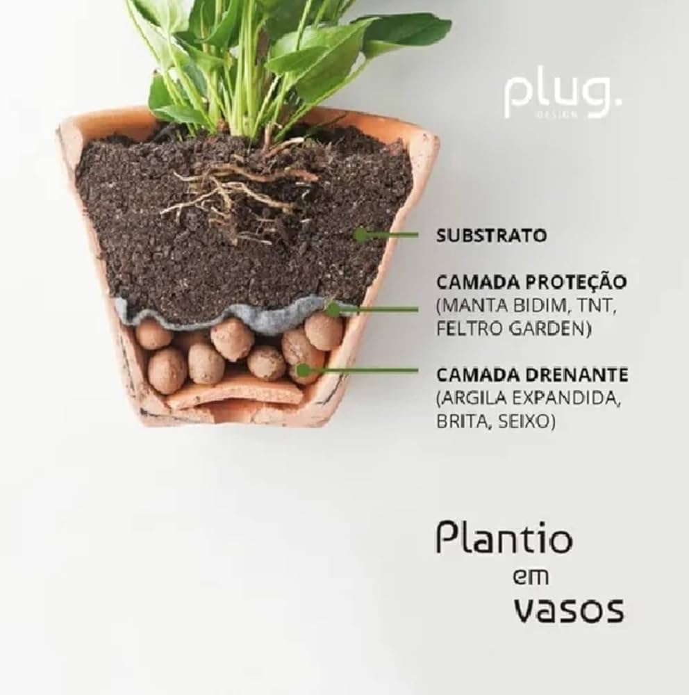 5 Melhores Vasos para Horta em Apartamento