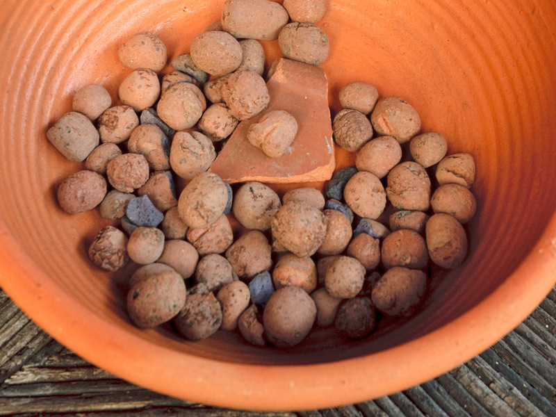 Irrigação Correta para Hortaliças em Vasos