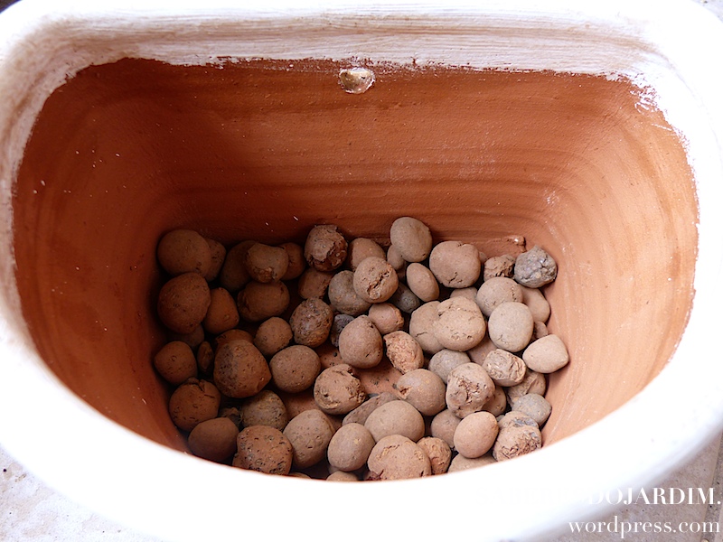 5 Melhores Vasos para Horta em Apartamento