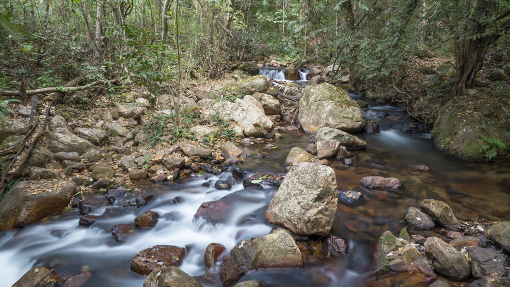 eco bocaína formosa trilhas