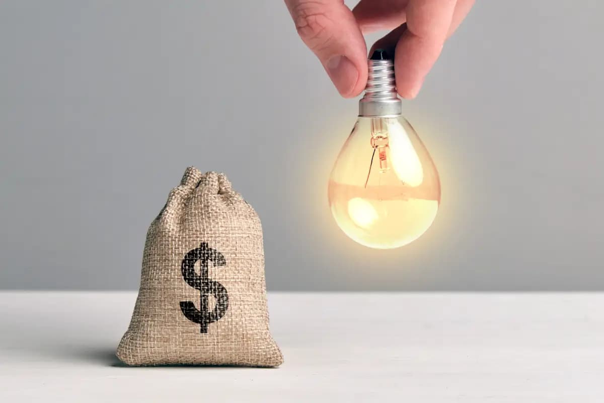 Entenda a Tarifa Social de Energia Elétrica