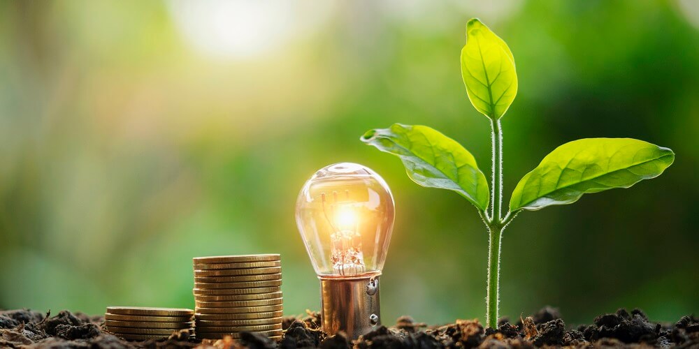 Entenda a Tarifa Social de Energia Elétrica