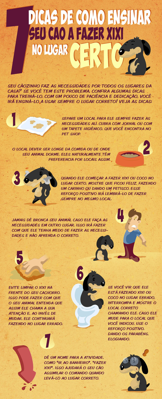 Como lidar com acidentes de xixi do seu cachorro