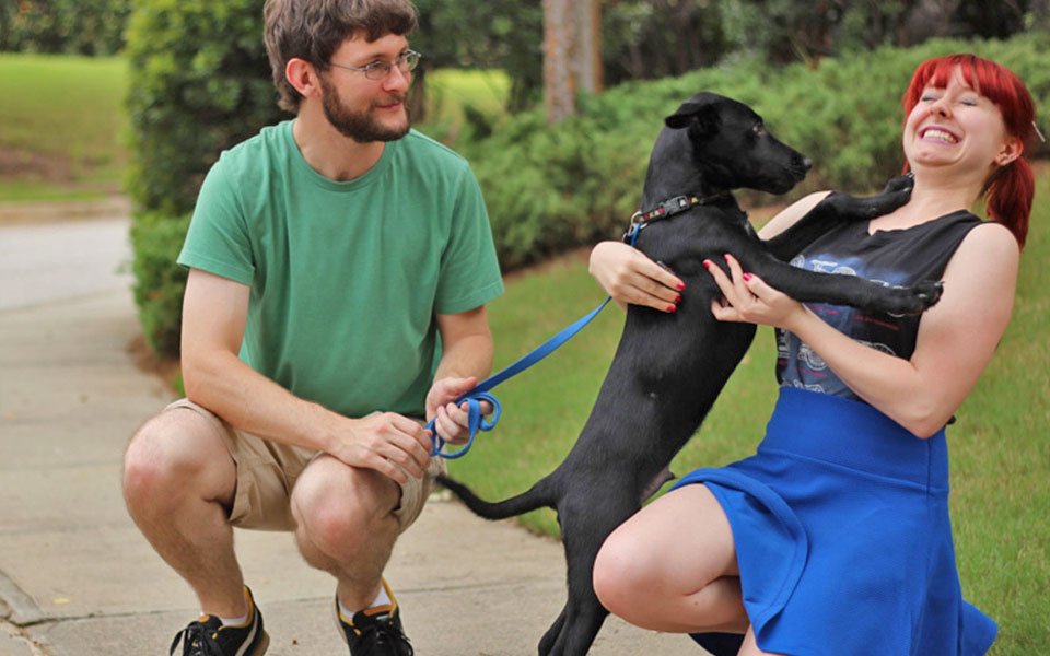 ensinar cachorro não pular visitas