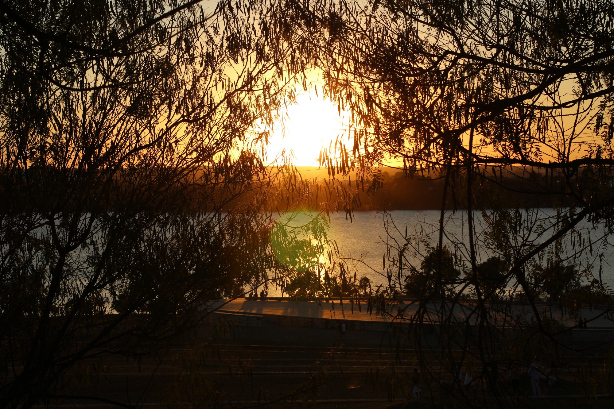 Guia Completo da Ermida Dom Bosco